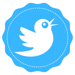 5.000 Adet Twitter Hesabı